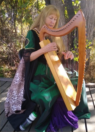 Playing at the Enchanted Forest