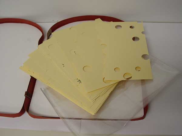 Swiss Cheese Book